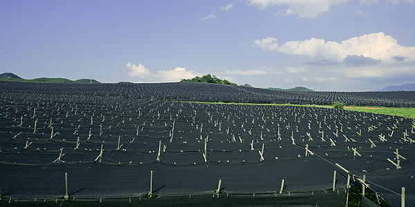 soil-stabilisation-geotextiles